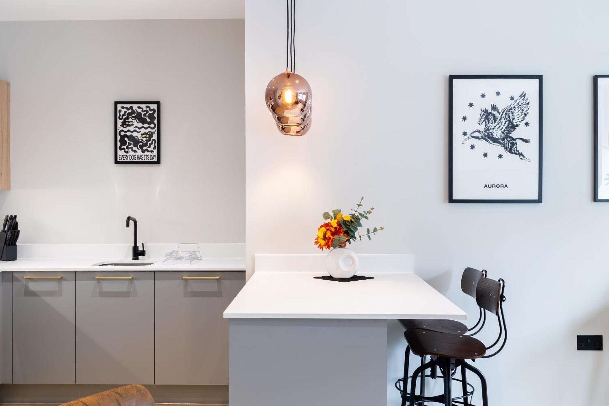 Apartment Kula - New Street Station